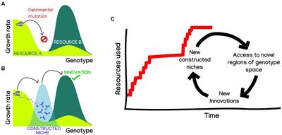 The Macroevolutionary Consequences of Niche Construction in Microbial Metabolism